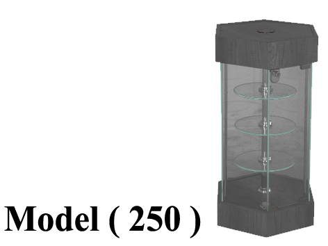 311 Glass Displays & Vetrines 250