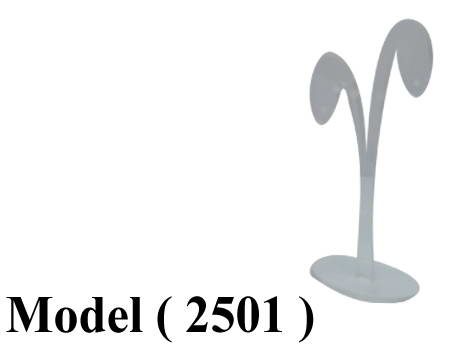 403 Mirrors & Jewelry Display 2501