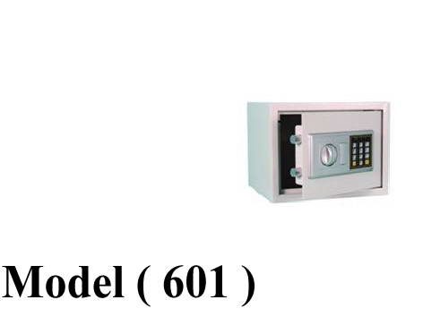 610 Safes 601