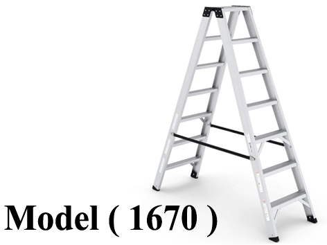 901 Ladders 1670